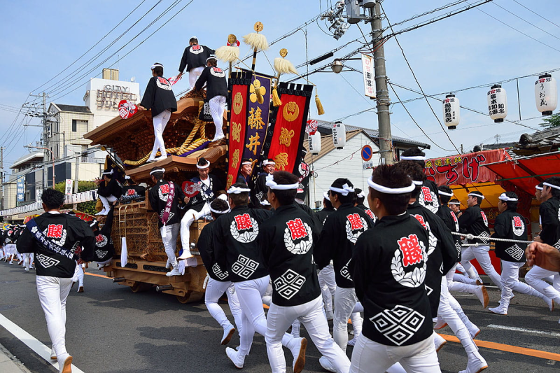 Lễ hội Kishiwada Danjiri Matsuri là được xem là một trong những lễ hội độc nhất Nhật Bản